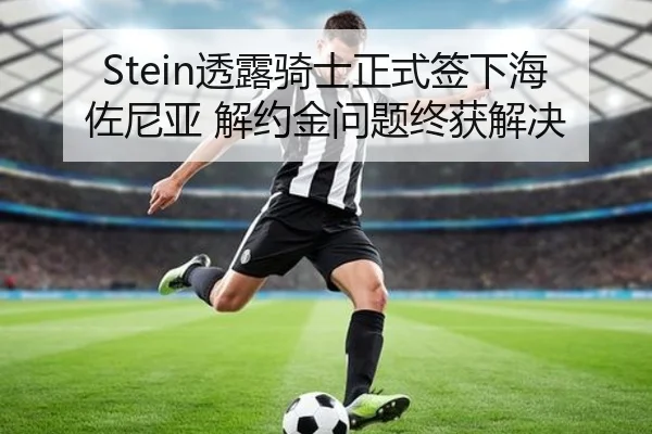 Stein透露骑士正式签下海佐尼亚 解约金问题终获解决